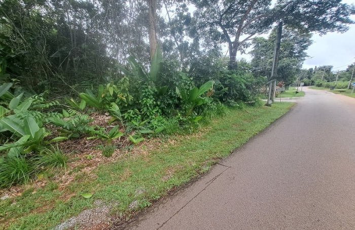 Vente Terrain 3444m&sup2; Matoury