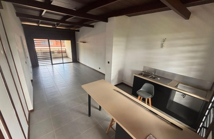 Location Appartement 97354