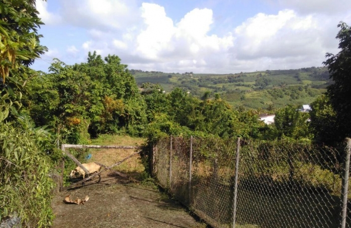 Vente Terrain 1250m&sup2; Le Marigot