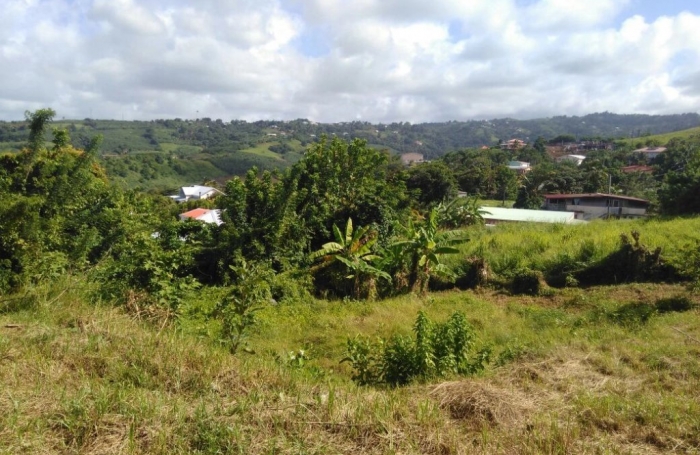 Vente Terrain 1250m&sup2; Le Marigot