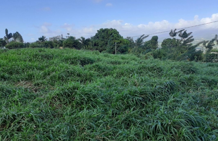 Vente Terrain 1704m&sup2; Le Lamentin