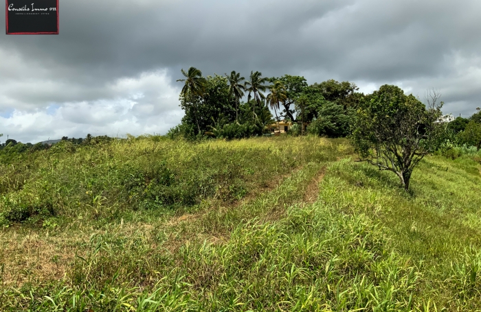 À vendre à Sainte-Marie - Terrain idéal promotion immobilière