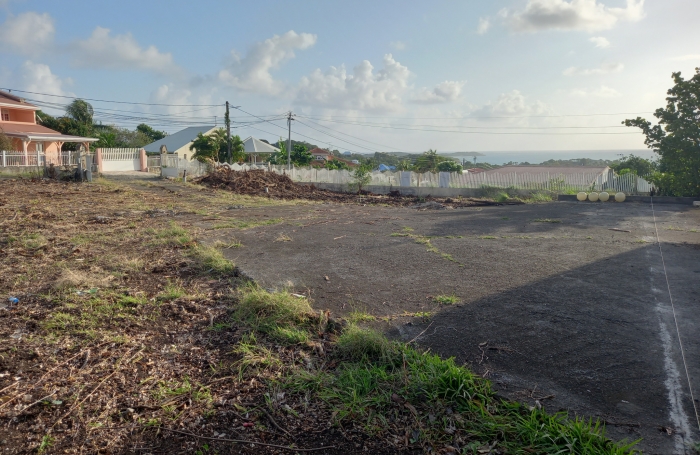 LE FRANCOIS : TERRAIN A BATIR VUE MER