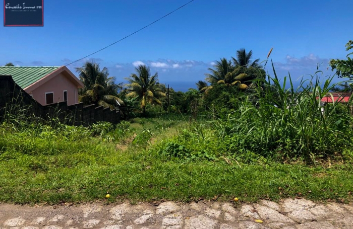 Terrain à bâtir de 1 316 m2 à vendre à Basse-Pointe