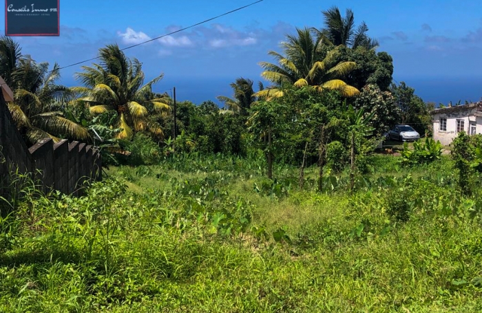 Terrain à bâtir de 1 316 m2 à vendre à Basse-Pointe