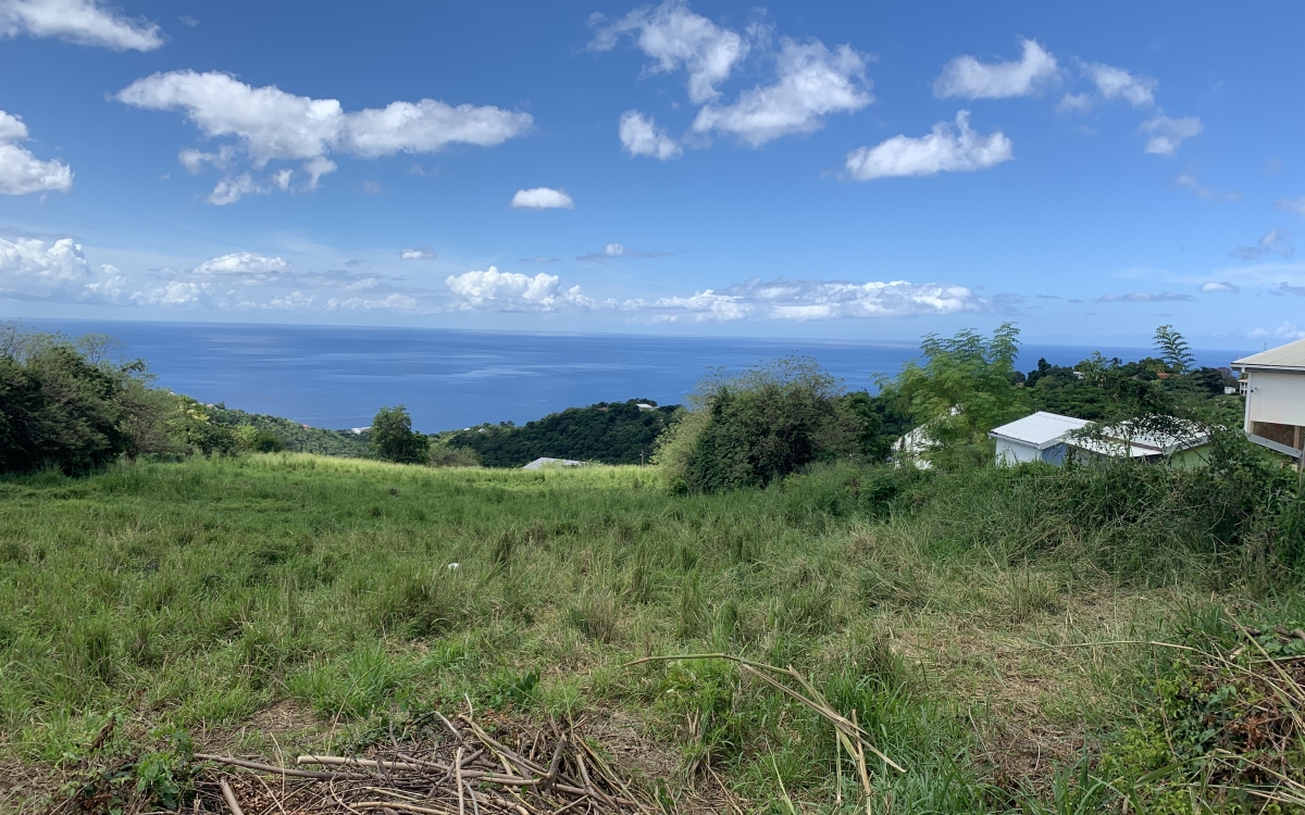 Terrain exceptionnel avec vue mer sur les hauteurs du Carbet