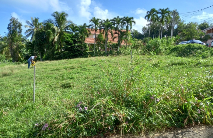 TERRAIN A BATIR A SAINTE-MARIE