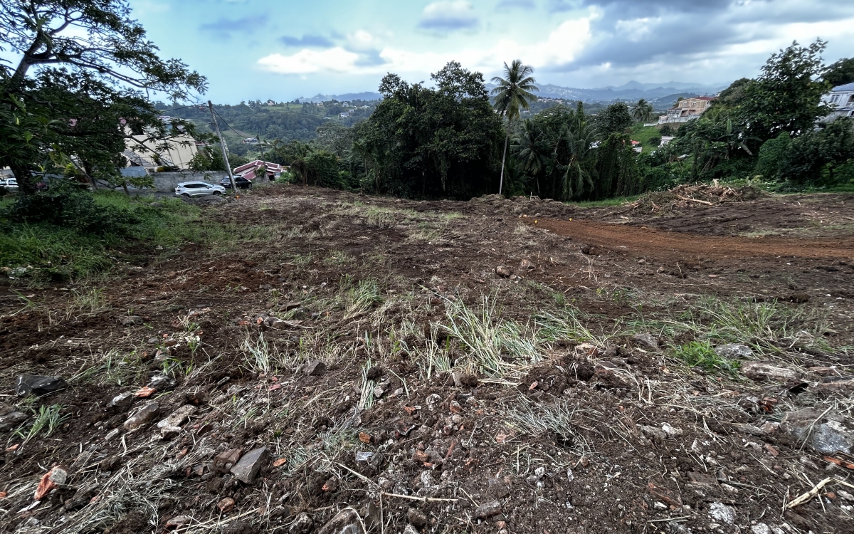 Terrain de 796m2 au Lamentin pour votre future villa