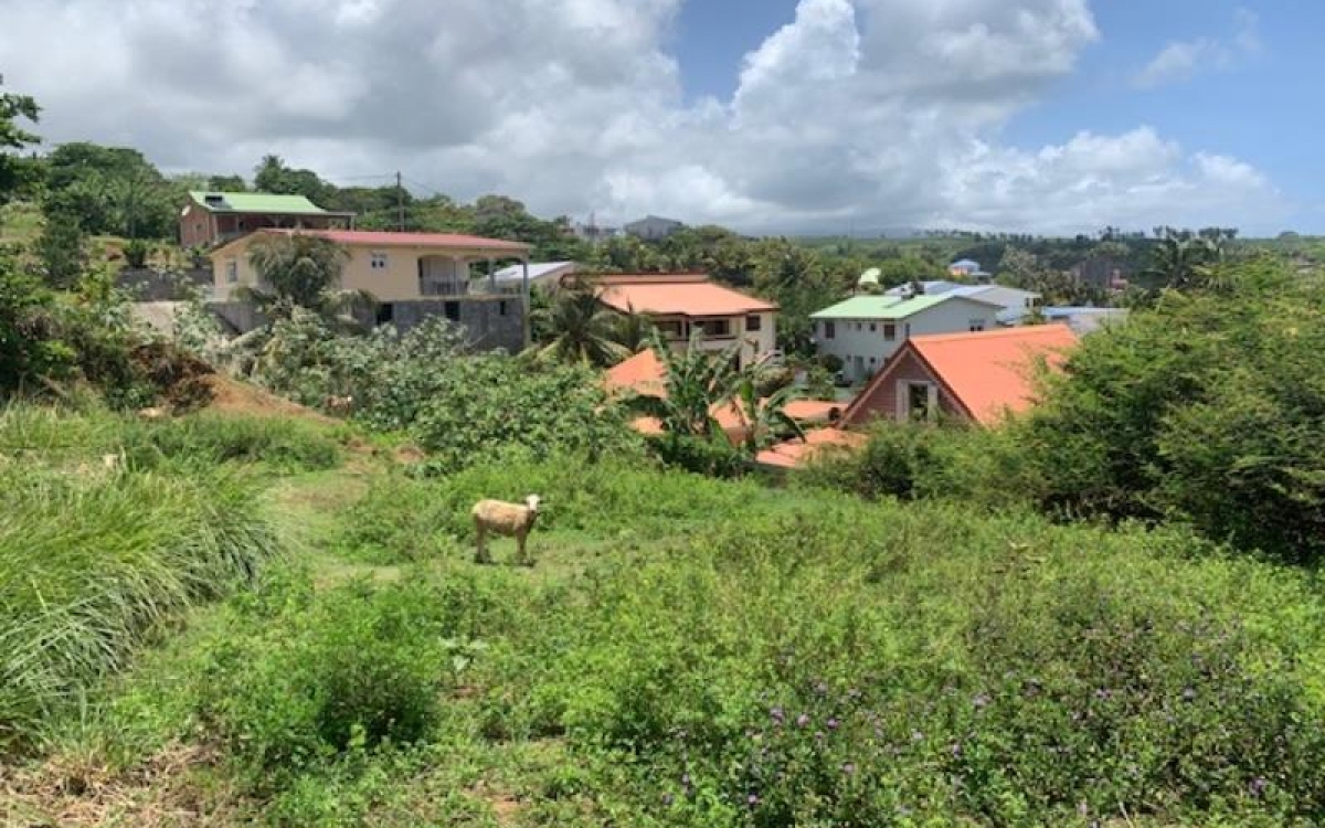 Le MARIGOT - Terrain de 2 608 m² - 210 000 euros FAI