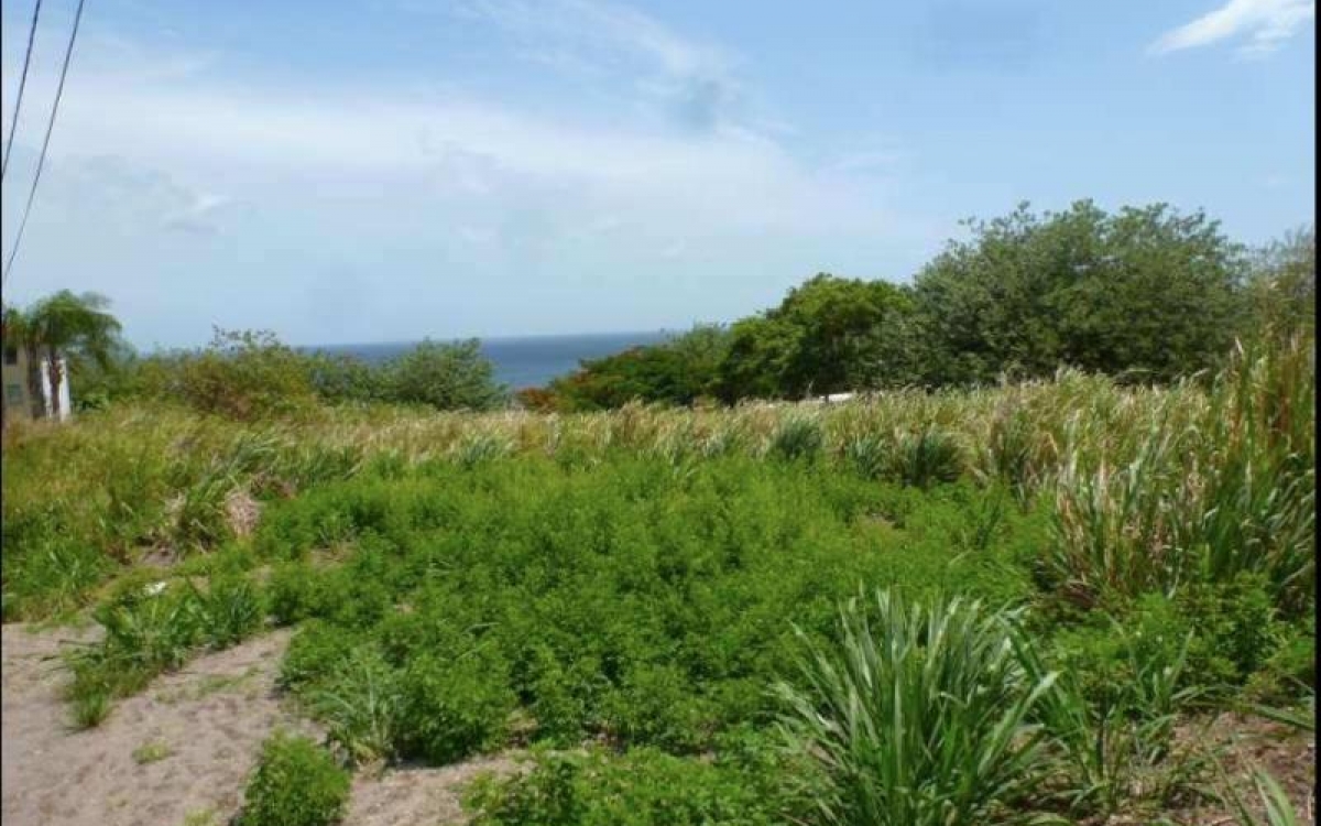 Vente Terrain 