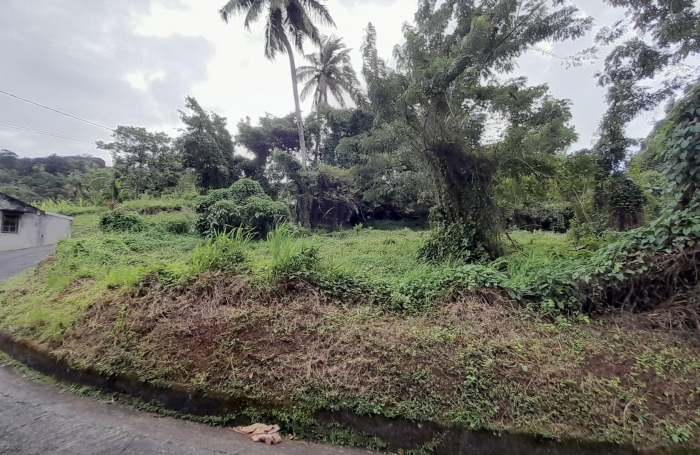 TERRAIN A BATIR A RIVIERE SALEE