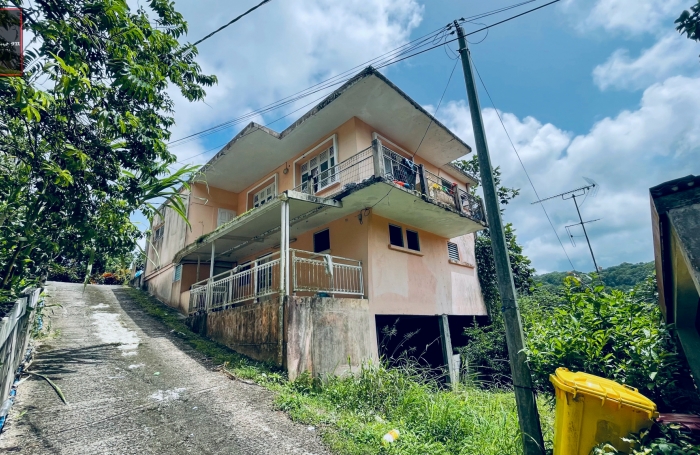 Vente Immeuble de Rapport à Rivière-Pilote, Martinique - Opportunité d'Investissement Immobilier