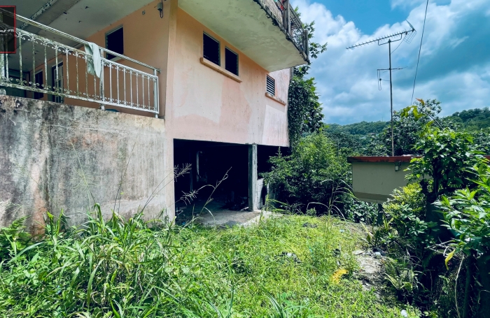 Vente Immeuble de Rapport à Rivière-Pilote, Martinique - Opportunité d'Investissement Immobilier