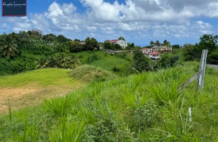 Terrain de 740 m2 à vendre au Lorrain