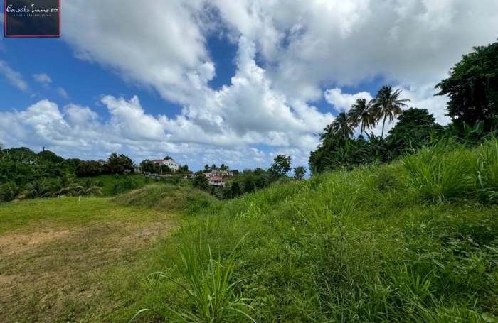 Terrain de 740 m2 à vendre au Lorrain