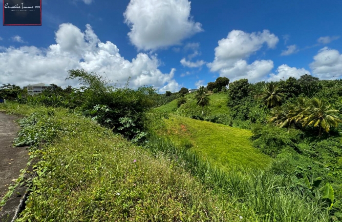 Terrain de 740 m2 à vendre au Lorrain