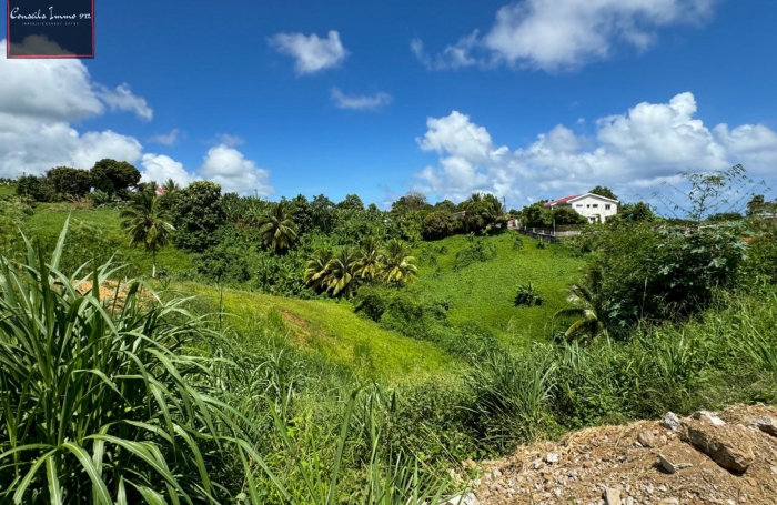 Terrain de 740 m2 à vendre au Lorrain