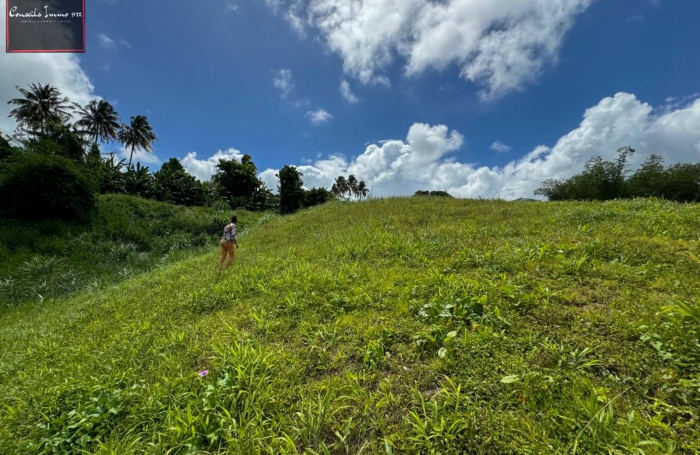 Terrain de 740 m2 à vendre au Lorrain