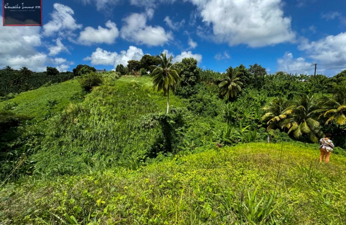 Terrain de 740 m2 à vendre au Lorrain