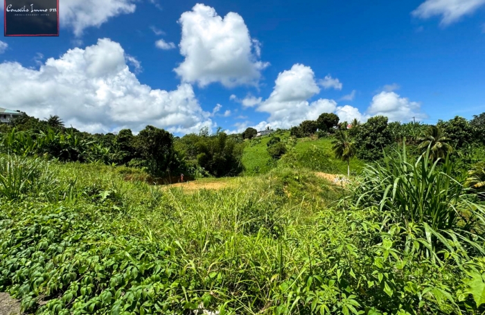 Terrain de 740 m2 à vendre au Lorrain