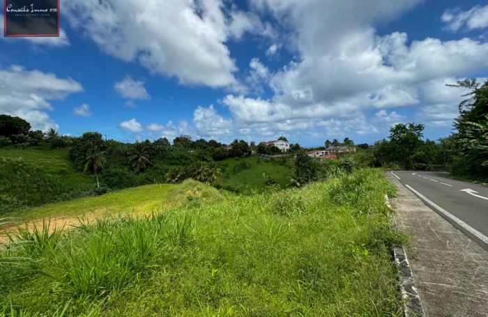 Terrain de 740 m2 à vendre au Lorrain