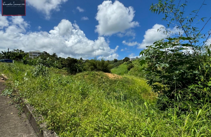 Terrain de 740 m2 à vendre au Lorrain