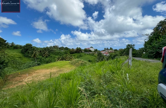 Terrain de 790 m2 à vendre au Lorrain