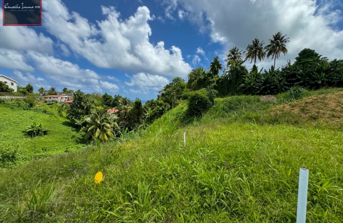 Terrain de 790 m2 à vendre au Lorrain