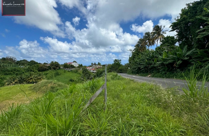 Terrain de 790 m2 à vendre au Lorrain