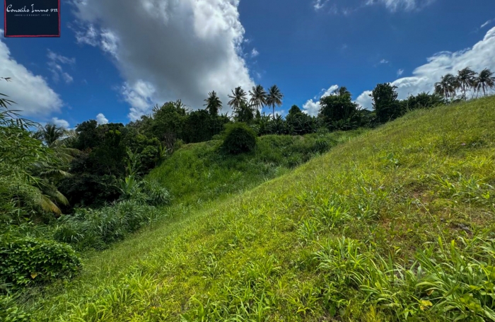 Terrain de 790 m2 à vendre au Lorrain