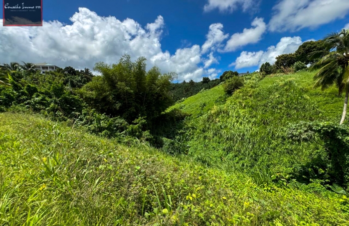 Terrain de 790 m2 à vendre au Lorrain