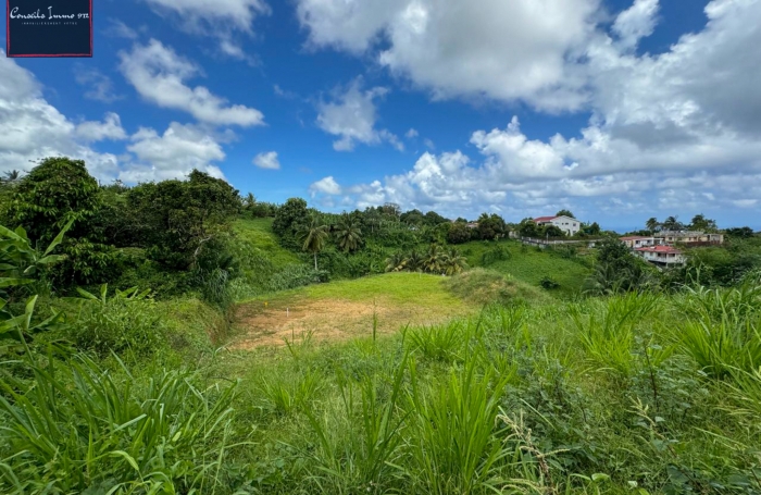 Terrain de 790 m2 à vendre au Lorrain