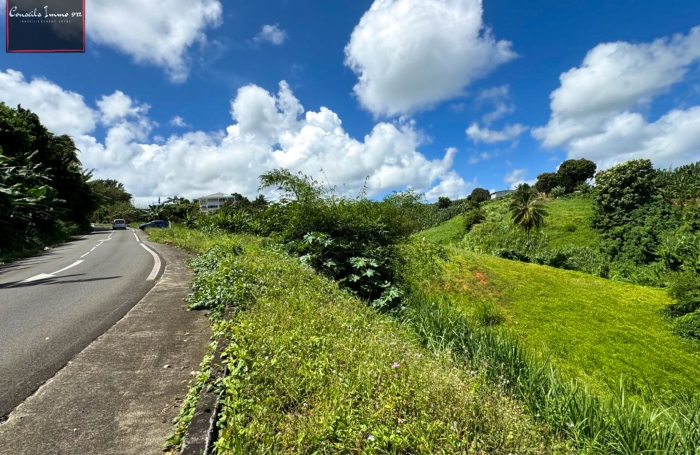 Terrain de 790 m2 à vendre au Lorrain