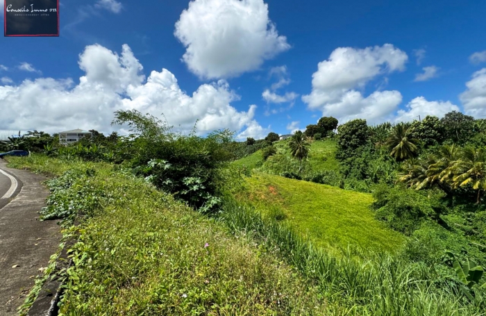 Terrain de 790 m2 à vendre au Lorrain