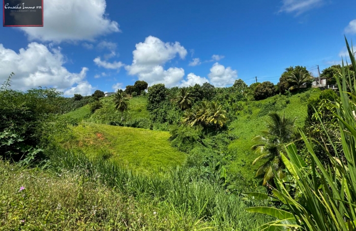 Terrain de 790 m2 à vendre au Lorrain