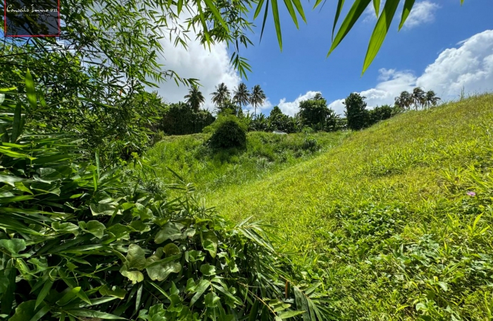 Terrain de 740 m2 à vendre au Lorrain