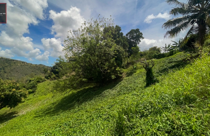 Terrain de 1 074 m2 à vendre à Sainte-Luce