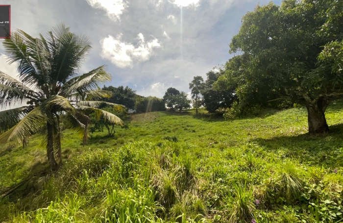 Terrains en vente à Sainte-Luce