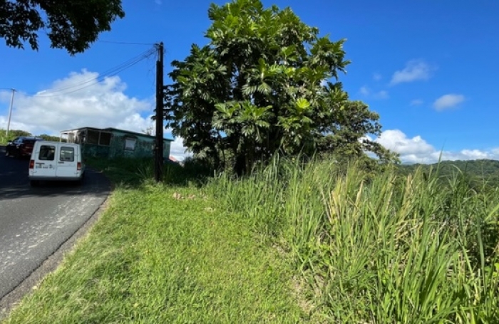 Terrain de 1407 m2 en bordure de route - SAINT-JOSEPH