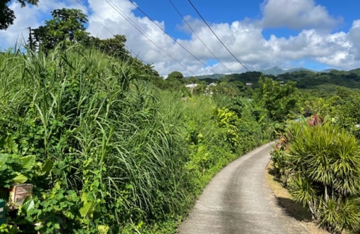 Terrain de 1407 m2 en bordure de route - SAINT-JOSEPH