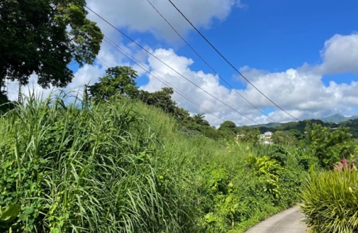 Terrain de 1407 m2 en bordure de route - SAINT-JOSEPH