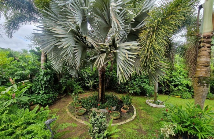 Vente Maison 200m&sup2; 4 pi&#232;ces Le Lamentin