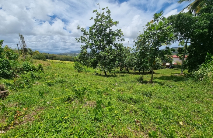 Vente Terrain 97215
