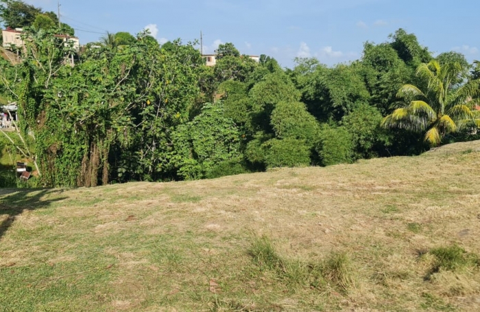 Terrain à vendre BALATA  - FORT-DE-FRANCE