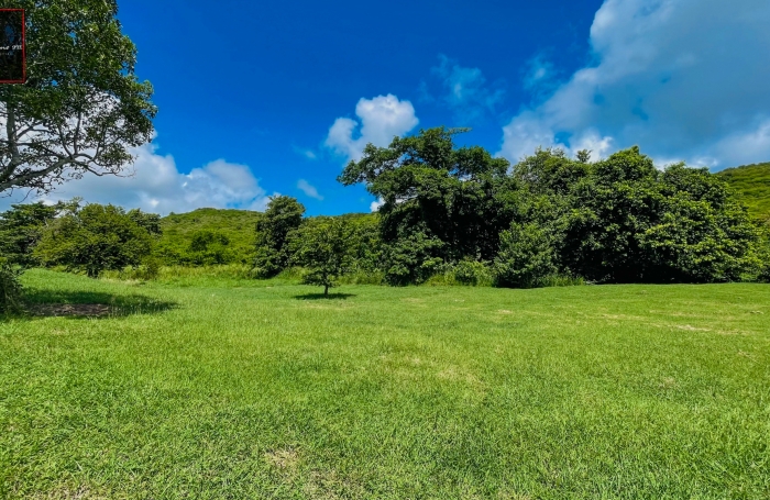 Terrain de 1 090 m2 à vendre - Sainte-Anne