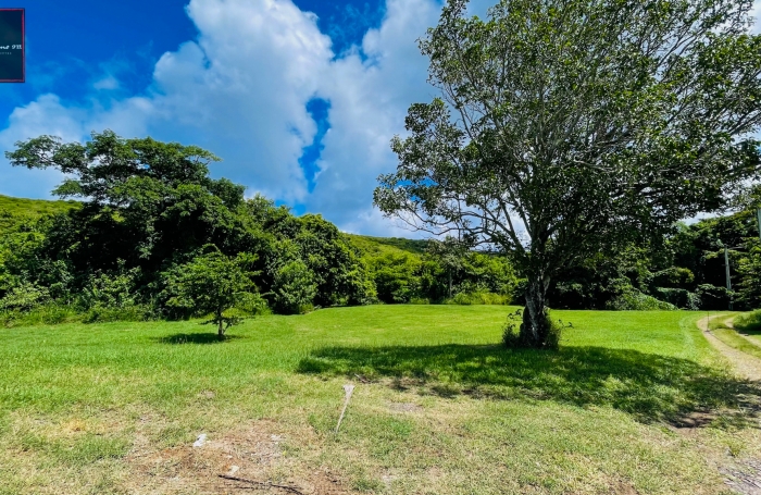 Terrain de 1 090 m2 à vendre - Sainte-Anne