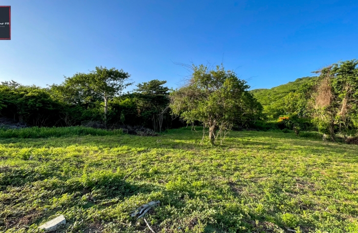 Terrain de 1 090 m2 à vendre - Sainte-Anne