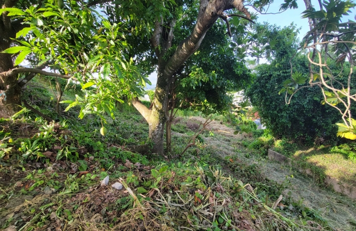 Rivière Salée; Terrain avec très belle vue