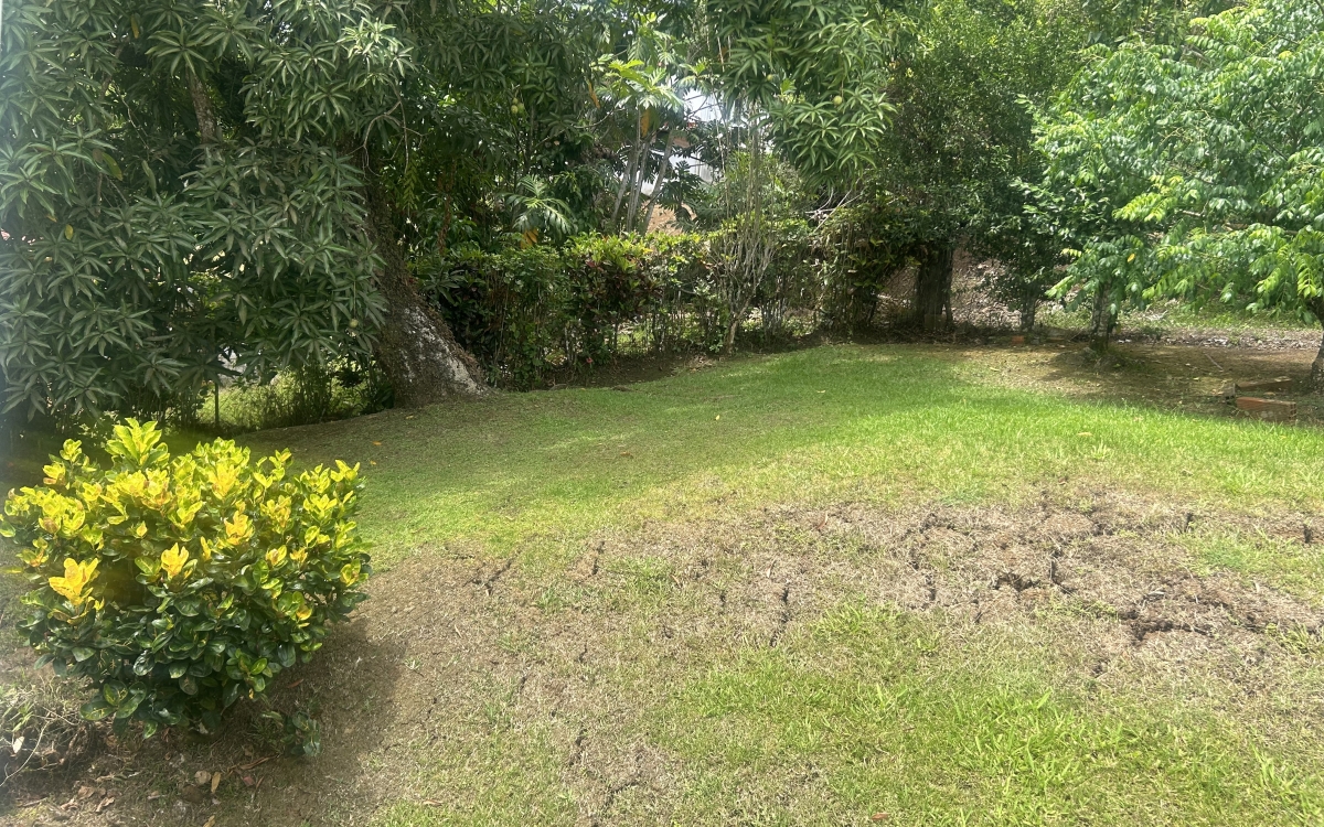 LE LAMENTIN – Maison sur 2 Niveaux avec 3  Appts : 428 000€ 