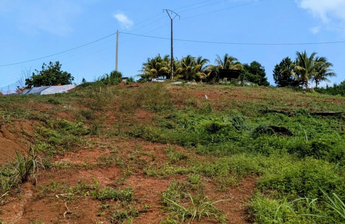 TERRAIN A DUCOS DE 1291 M2